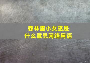 森林里小女巫是什么意思网络用语