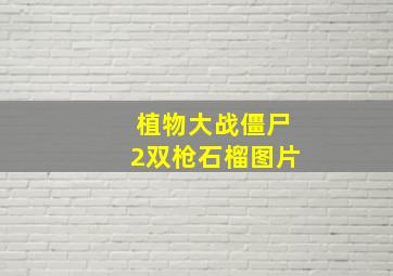 植物大战僵尸2双枪石榴图片