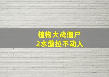 植物大战僵尸2水藻拉不动人