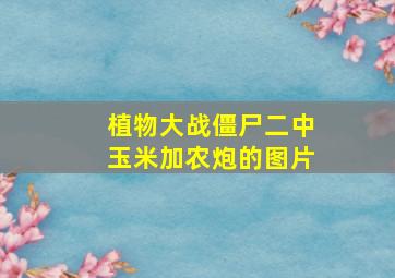 植物大战僵尸二中玉米加农炮的图片