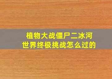 植物大战僵尸二冰河世界终极挑战怎么过的