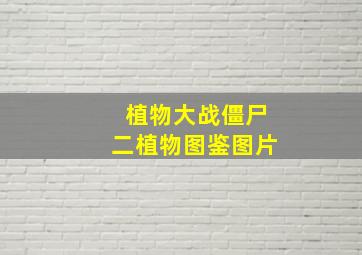 植物大战僵尸二植物图鉴图片