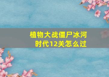 植物大战僵尸冰河时代12关怎么过