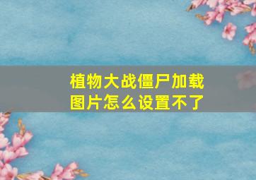 植物大战僵尸加载图片怎么设置不了