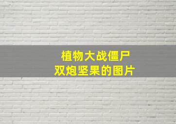 植物大战僵尸双炮坚果的图片