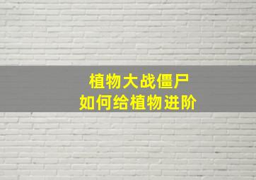 植物大战僵尸如何给植物进阶