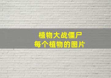 植物大战僵尸每个植物的图片