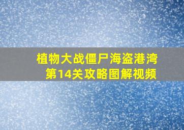 植物大战僵尸海盗港湾第14关攻略图解视频