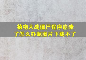 植物大战僵尸程序崩溃了怎么办呢图片下载不了