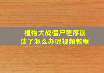 植物大战僵尸程序崩溃了怎么办呢视频教程