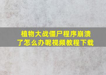 植物大战僵尸程序崩溃了怎么办呢视频教程下载