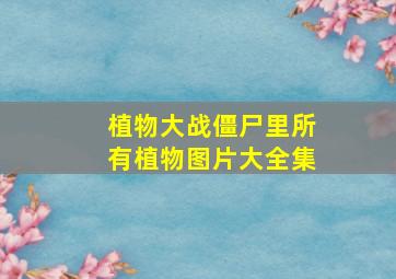 植物大战僵尸里所有植物图片大全集