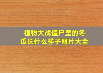 植物大战僵尸里的冬瓜长什么样子图片大全