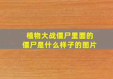 植物大战僵尸里面的僵尸是什么样子的图片