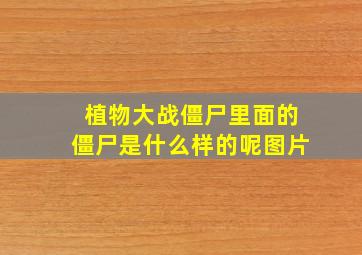 植物大战僵尸里面的僵尸是什么样的呢图片