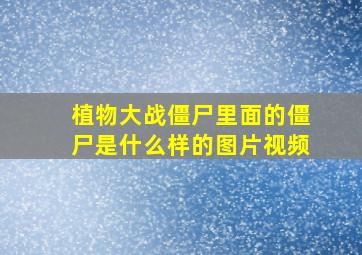 植物大战僵尸里面的僵尸是什么样的图片视频