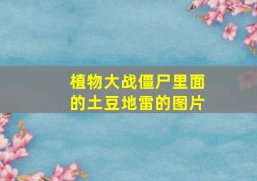 植物大战僵尸里面的土豆地雷的图片