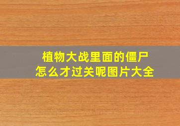 植物大战里面的僵尸怎么才过关呢图片大全