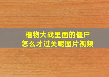 植物大战里面的僵尸怎么才过关呢图片视频