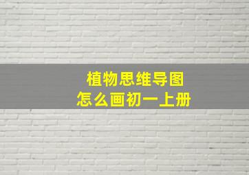 植物思维导图怎么画初一上册