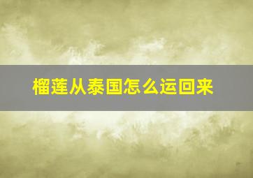 榴莲从泰国怎么运回来