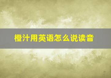 橙汁用英语怎么说读音