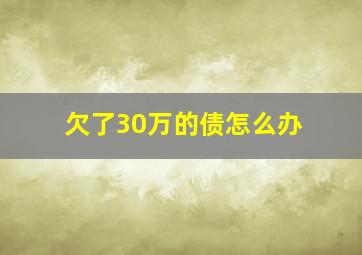 欠了30万的债怎么办