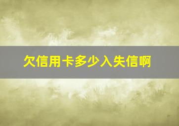 欠信用卡多少入失信啊