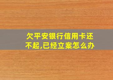 欠平安银行信用卡还不起,已经立案怎么办