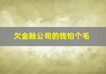 欠金融公司的钱怕个毛