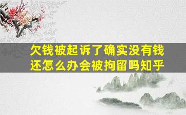 欠钱被起诉了确实没有钱还怎么办会被拘留吗知乎