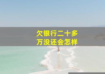 欠银行二十多万没还会怎样