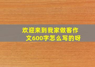 欢迎来到我家做客作文600字怎么写的呀