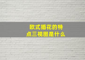 欧式插花的特点三视图是什么