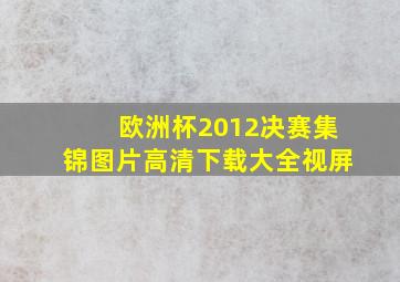 欧洲杯2012决赛集锦图片高清下载大全视屏