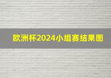 欧洲杯2024小组赛结果图