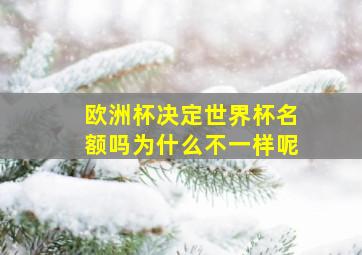 欧洲杯决定世界杯名额吗为什么不一样呢