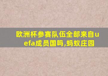 欧洲杯参赛队伍全部来自uefa成员国吗,蚂蚁庄园