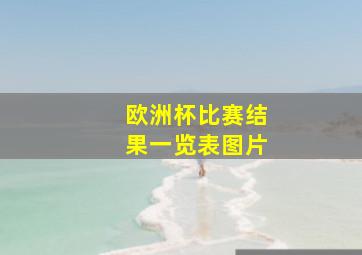 欧洲杯比赛结果一览表图片