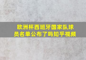 欧洲杯西班牙国家队球员名单公布了吗知乎视频