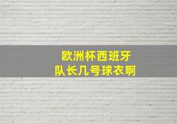 欧洲杯西班牙队长几号球衣啊