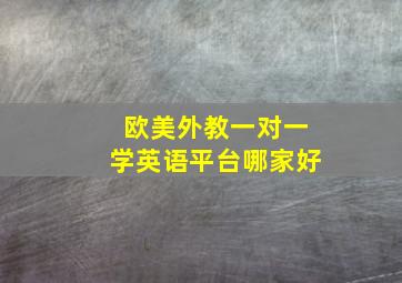 欧美外教一对一学英语平台哪家好