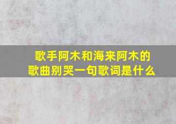 歌手阿木和海来阿木的歌曲别哭一句歌词是什么