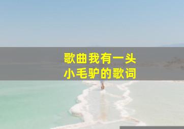 歌曲我有一头小毛驴的歌词