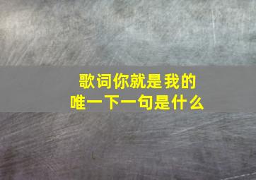 歌词你就是我的唯一下一句是什么