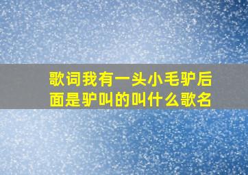 歌词我有一头小毛驴后面是驴叫的叫什么歌名