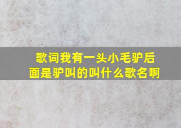 歌词我有一头小毛驴后面是驴叫的叫什么歌名啊