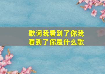 歌词我看到了你我看到了你是什么歌