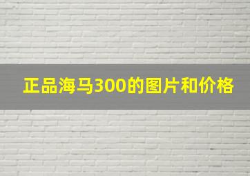 正品海马300的图片和价格