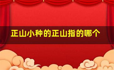 正山小种的正山指的哪个